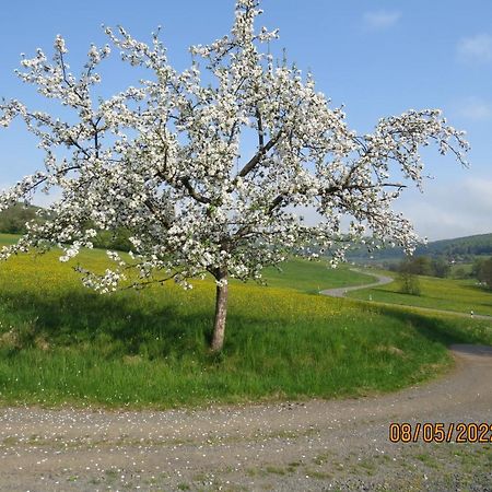 Ferienwohnung Rhoen Kaltennordheim Bagian luar foto